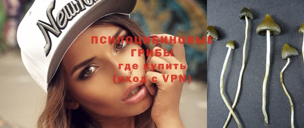тгк Бородино