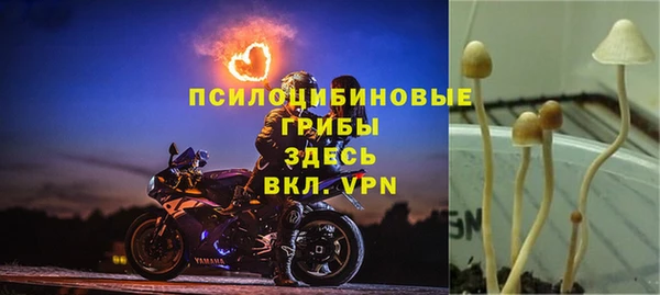 jwh Бугульма