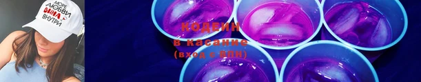 тгк Бородино