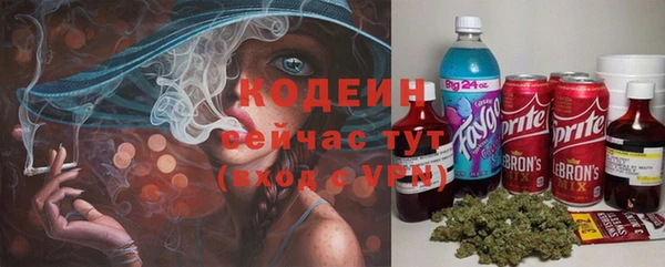 тгк Бородино