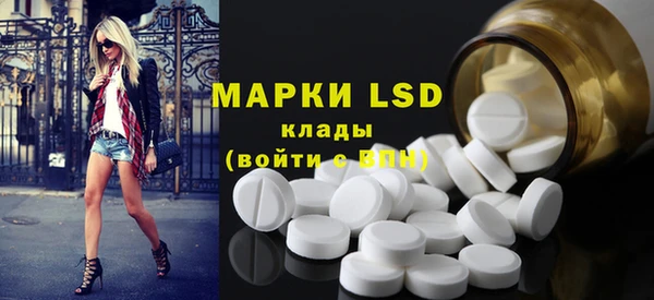 тгк Бородино