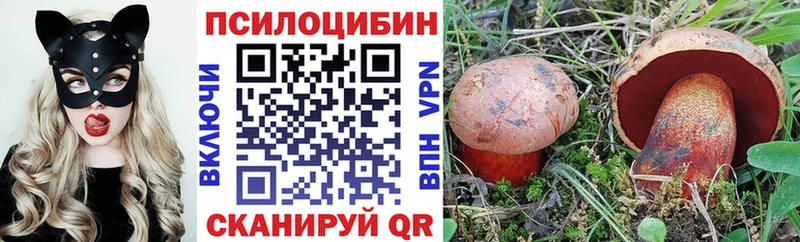 Галлюциногенные грибы прущие грибы  дарнет шоп  кракен ССЫЛКА  Острогожск 